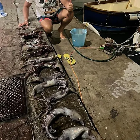 شقة Casa Riva Mare *