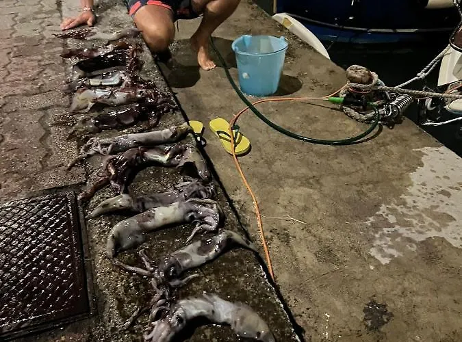 Apartamento Casa Riva Mare *